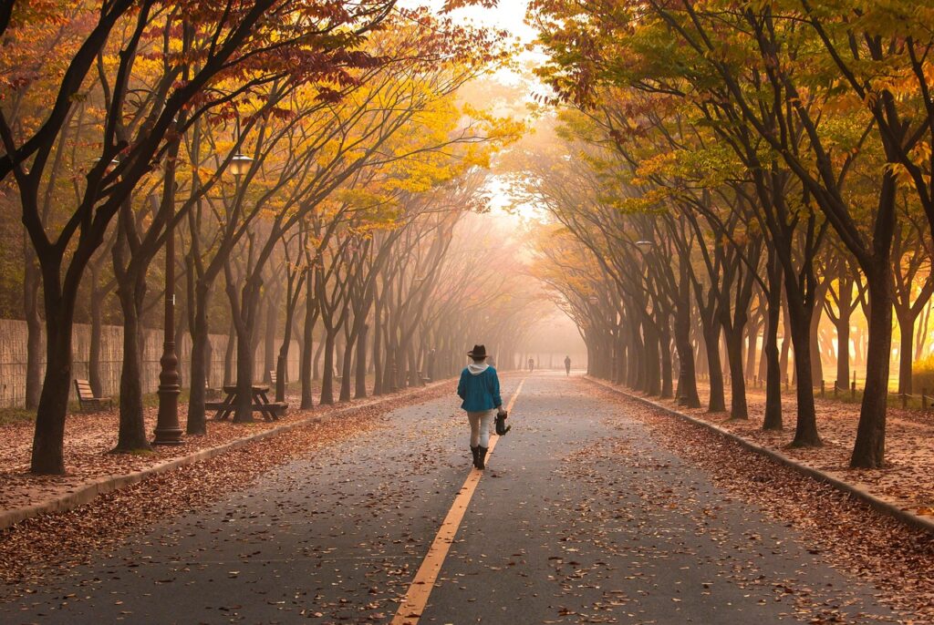 road, nature, pavement, woman, trees, walk, girl, fog, walking, roadway, avenue, mist, leaves, foliage, autumn, fall, park